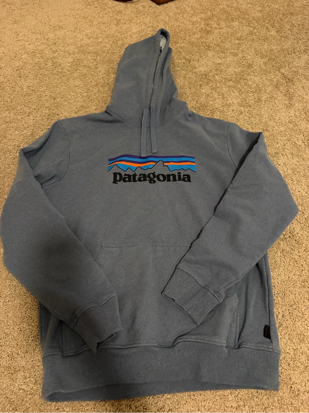 Patagonia hoodie